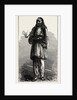 Albanian Peasant, Albania by Anonymous