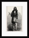 Albanian Peasant, Albania by Anonymous
