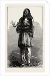 Albanian Peasant, Albania by Anonymous