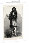 Albanian Peasant, Albania by Anonymous