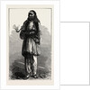 Albanian Peasant, Albania by Anonymous
