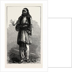 Albanian Peasant, Albania by Anonymous