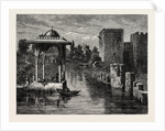 View In The Environs Of Damascus by Anonymous