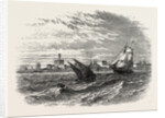 View Of Alexandria (from The Sea) by Anonymous