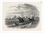 View Of Alexandria (from The Sea) by Anonymous