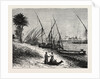 View Of Boulak, On The Nile, Egypt. by Anonymous