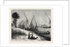 View Of Boulak, On The Nile, Egypt. by Anonymous