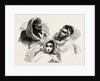 Moors, Several Historic And Modern Populations From North Africa by Anonymous