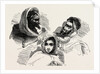 Moors, Several Historic And Modern Populations From North Africa by Anonymous