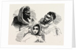 Moors, Several Historic And Modern Populations From North Africa by Anonymous
