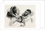 Moors, Several Historic And Modern Populations From North Africa by Anonymous