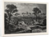 View Of Coomassie, The Capital Of Ashanti by Anonymous