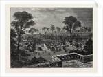 View Of Coomassie, The Capital Of Ashanti by Anonymous