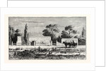 House Of A Rich Boer, Or Dutch Farmer, South Africa by Anonymous