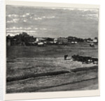 View Of Potchefstrom, In The Transvaal, South Africa by Anonymous