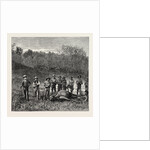 Buffalo Hunters in the Transvaal by Anonymous