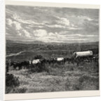 View Of Pretoria, The Capital Of The Transvaal by Anonymous