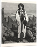 Albanian Shepherdess, Albania by Anonymous