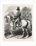 General Simpson, commander of the British army before Sebastopol by Anonymous