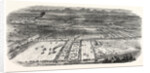 Agricultural Exhibition in Trappes by Anonymous