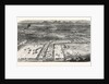 Agricultural Exhibition in Trappes by Anonymous