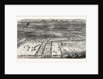 Agricultural Exhibition in Trappes by Anonymous