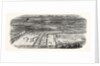 Agricultural Exhibition in Trappes by Anonymous