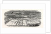 Agricultural Exhibition in Trappes by Anonymous