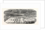 Agricultural Exhibition in Trappes by Anonymous