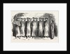 Cossack Songs by a Chorus of Russian Prisoners by Anonymous