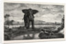 The Tiger and Elephant Painting by M. Decamps by Anonymous