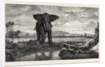 The Tiger and Elephant Painting by M. Decamps by Anonymous