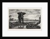 The Tiger and Elephant Painting by M. Decamps by Anonymous