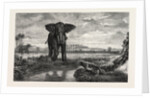 The Tiger and Elephant Painting by M. Decamps by Anonymous