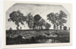 Salon of 1855. The Forest, Engraving 1855 by Anonymous