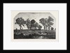 Salon of 1855. The Forest, Engraving 1855 by Anonymous