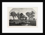 Salon of 1855. The Forest, Engraving 1855 by Anonymous