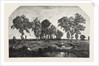 Salon of 1855. The Forest, Engraving 1855 by Anonymous