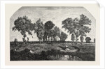 Salon of 1855. The Forest, Engraving 1855 by Anonymous