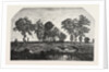 Salon of 1855. The Forest, Engraving 1855 by Anonymous