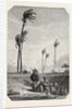 Harvest Dates in Egypt, Engraving 1855 by Anonymous