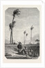Harvest Dates in Egypt, Engraving 1855 by Anonymous