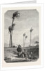 Harvest Dates in Egypt, Engraving 1855 by Anonymous
