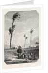 Harvest Dates in Egypt, Engraving 1855 by Anonymous