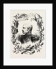 Marshal Pelissier, Aimable Jean Jacques Pelissier, 1st Duc De Malakoff, 1794 - 1864, Was a Marshal of France by Anonymous