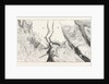 The Crimean War, 1855: Plan of the Attack of Malakoff by Anonymous