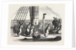 Recreations Aboard the Friedland: The Bags Race, 1855 by Anonymous