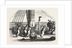Recreations Aboard the Friedland: The Bags Race, 1855 by Anonymous