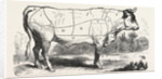 Tax Butchery Paris. Division by Categories of Beef. France by Anonymous