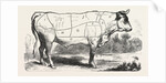 Tax Butchery Paris. Division by Categories of Beef. France by Anonymous